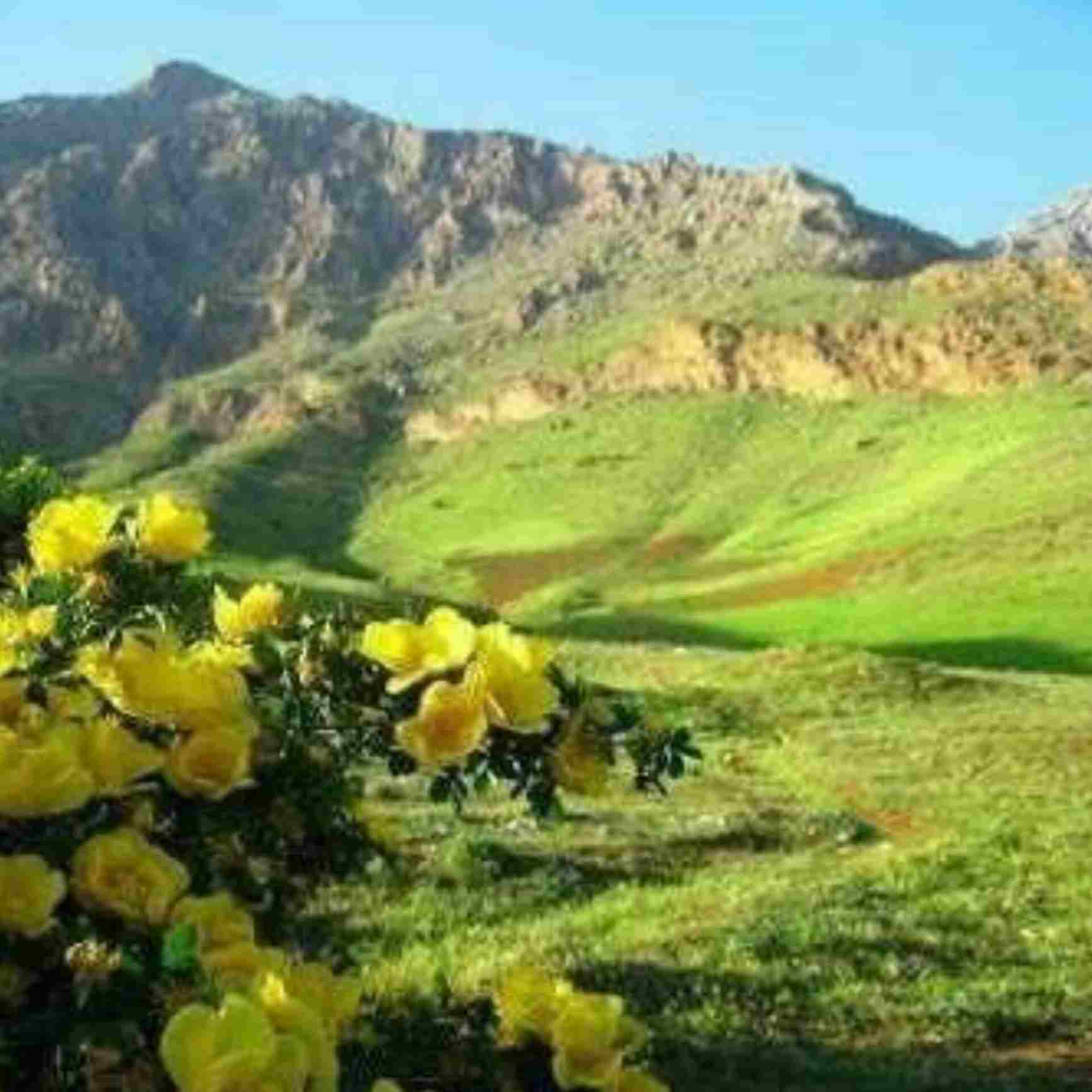 آهنگ جدید  دوست دارم نماز دوست دارم روزه